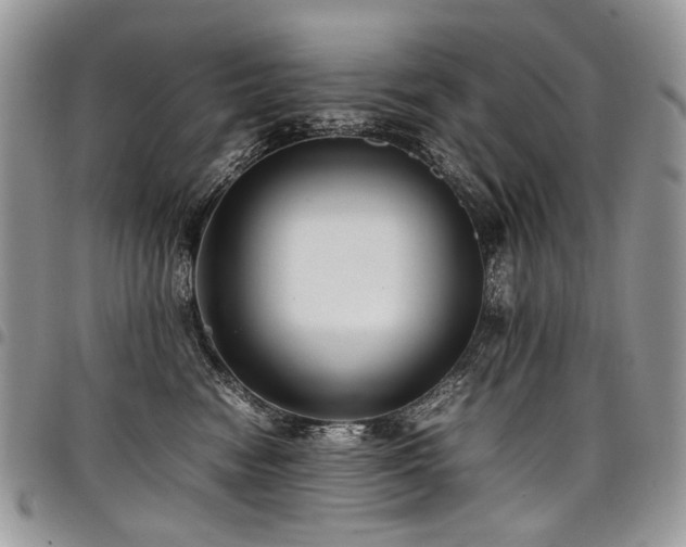 X0000098020474200803281338