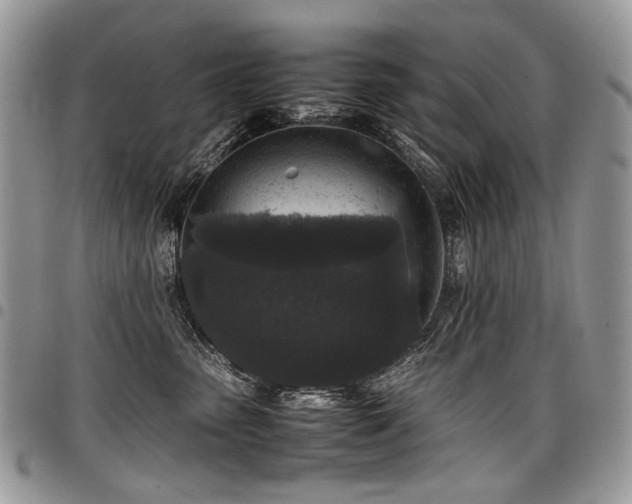 X0000098020475200803281338