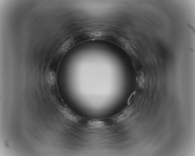 X0000098020476200803281338