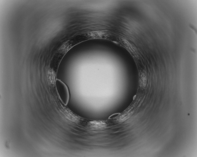 X0000098020477200803281338