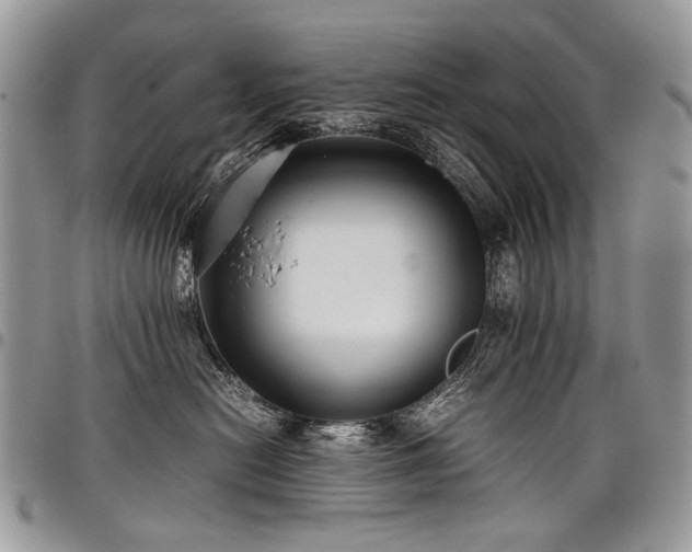 X0000098020478200803281338