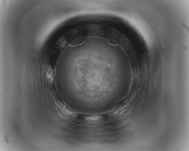 X0000098020479200803281338