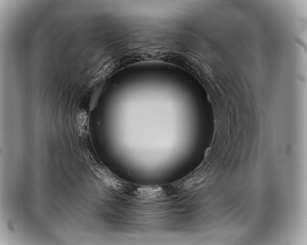 X0000098020480200803281338