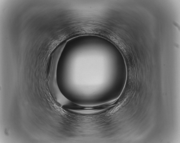 X0000098020481200803281337