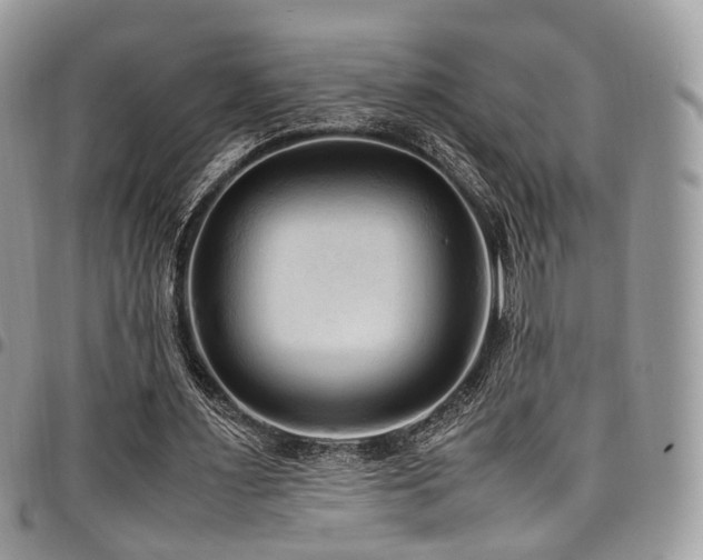 X0000098020483200803281337