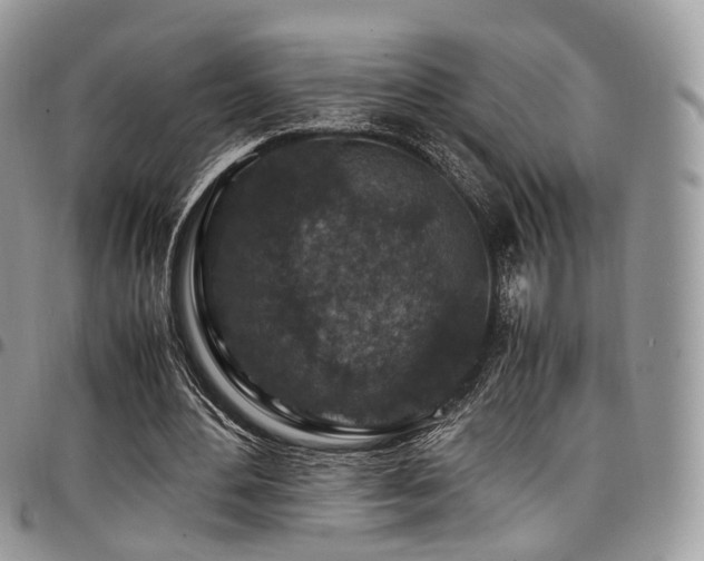 X0000098020484200803281337