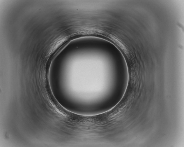 X0000098020485200803281337