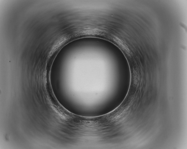 X0000098020486200803281337