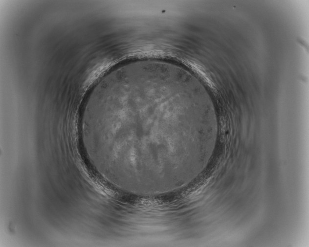 X0000098020487200803281337