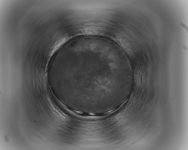 X0000098020488200803281337