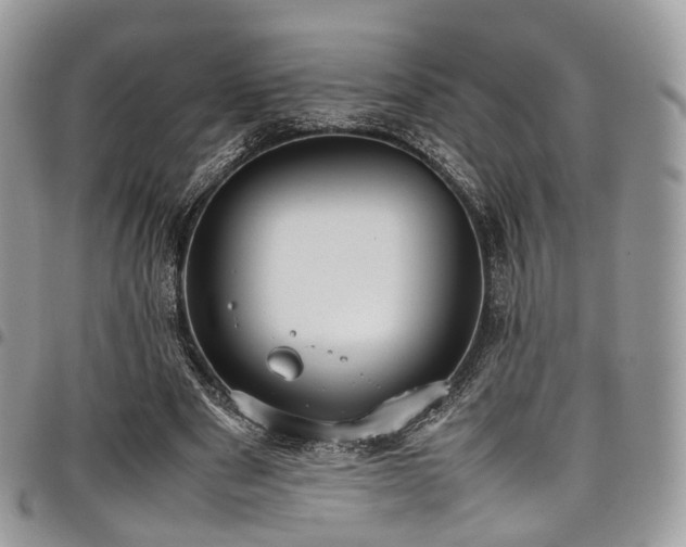 X0000098020489200803281337