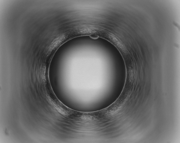 X0000098020490200803281337