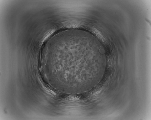 X0000098020491200803281337