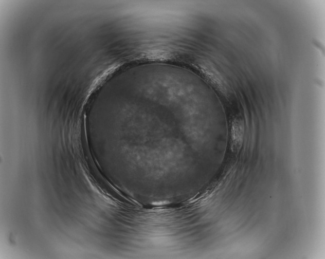 X0000098020492200803281337