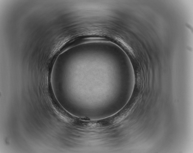 X0000098020493200803281337