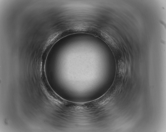 X0000098020494200803281337