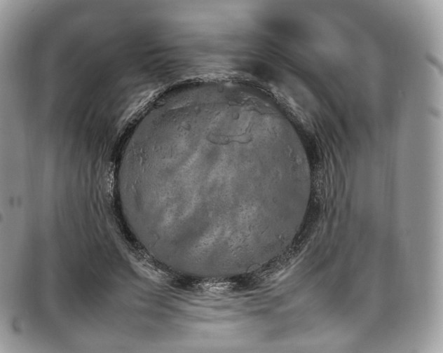 X0000098020495200803281337