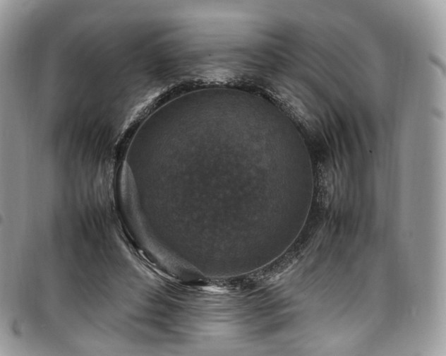 X0000098020496200803281337