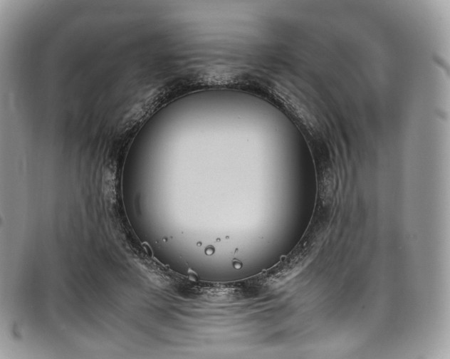 X0000098020497200803281337