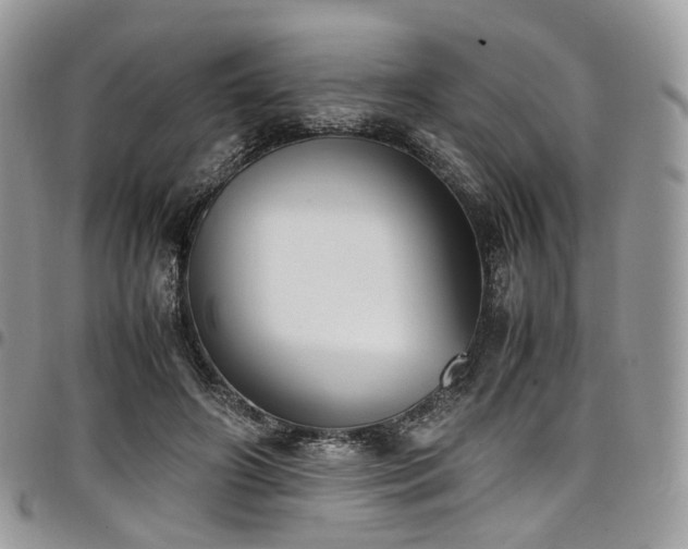 X0000098020498200803281337