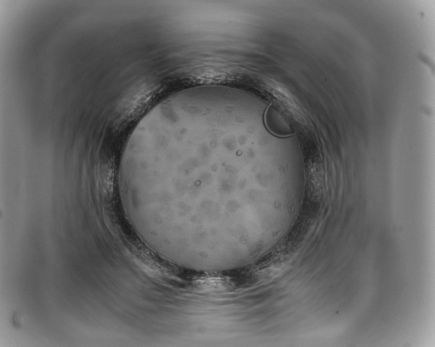 X0000098020499200803281337