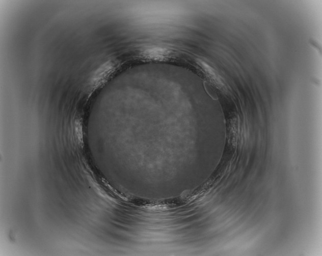 X0000098020500200803281337