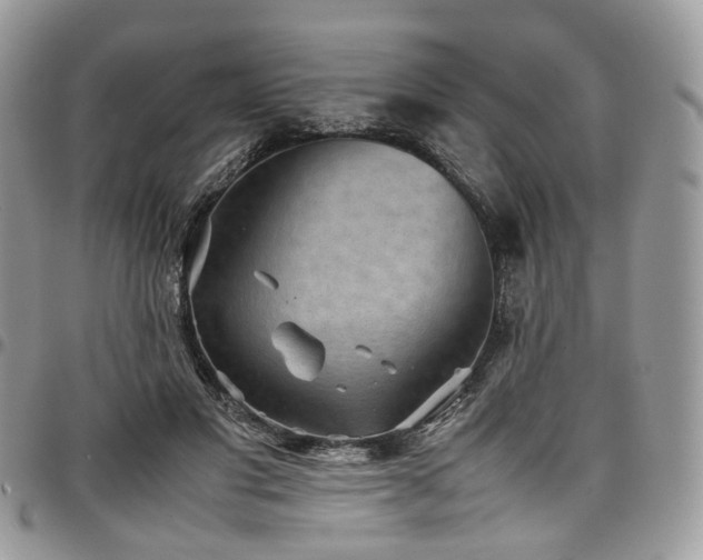 X0000098020501200803281337