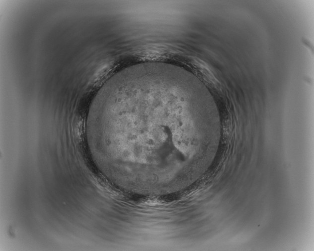 X0000098020503200803281337