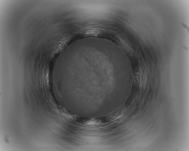 X0000098020504200803281337