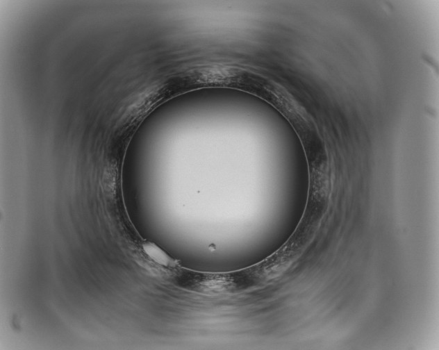 X0000098020505200803281337