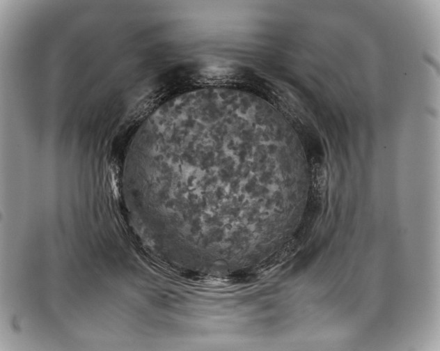 X0000098020507200803281337