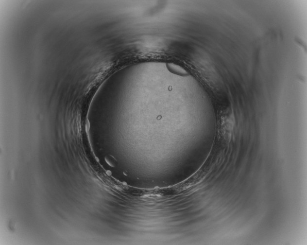 X0000098020508200803281337