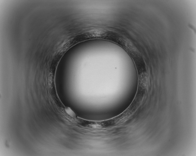 X0000098020509200803281337