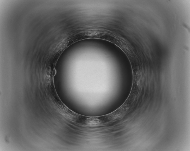 X0000098020510200803281337