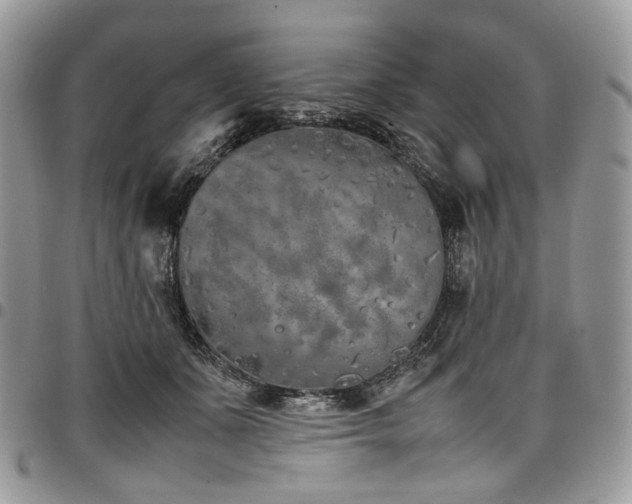 X0000098020511200803281337