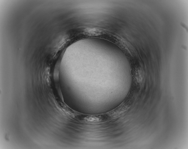 X0000098020512200803281337