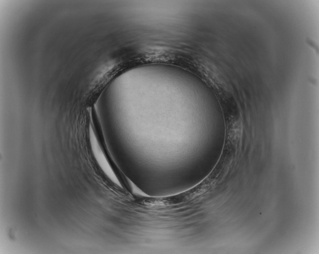 X0000098020513200803281337