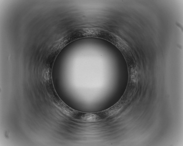 X0000098020514200803281337