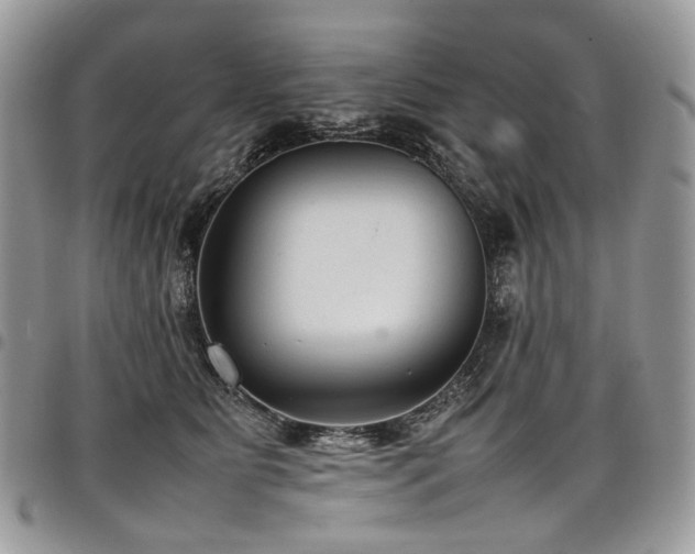 X0000098020515200803281337