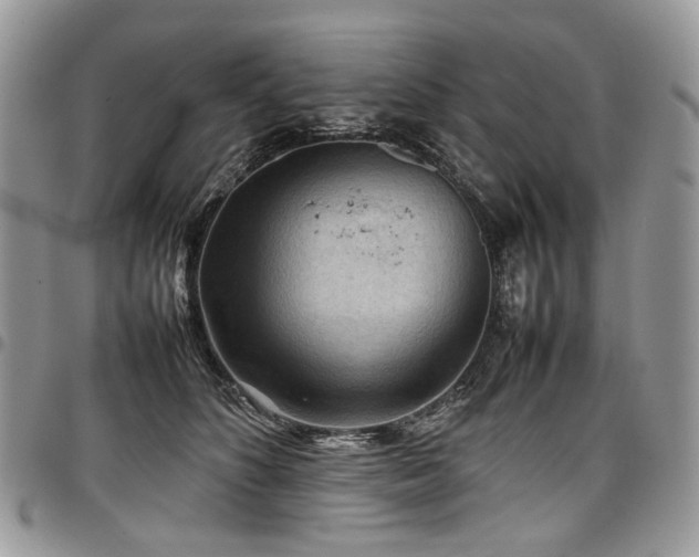 X0000098020516200803281337