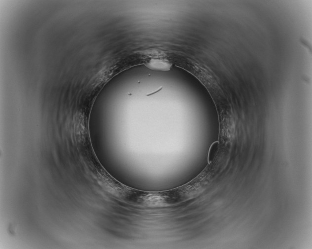 X0000098020518200803281337