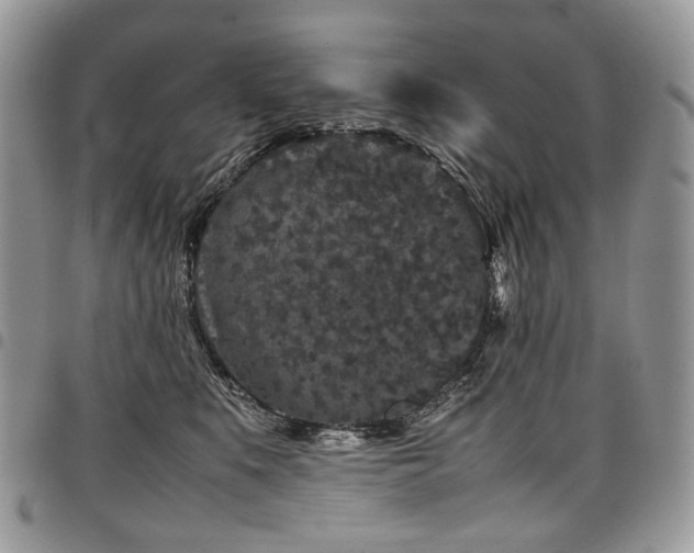 X0000098020519200803281337