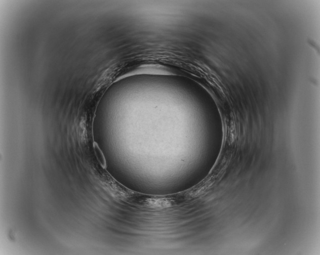 X0000098020520200803281337