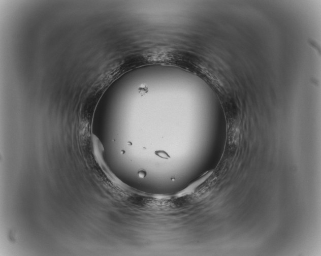 X0000098020521200803281337