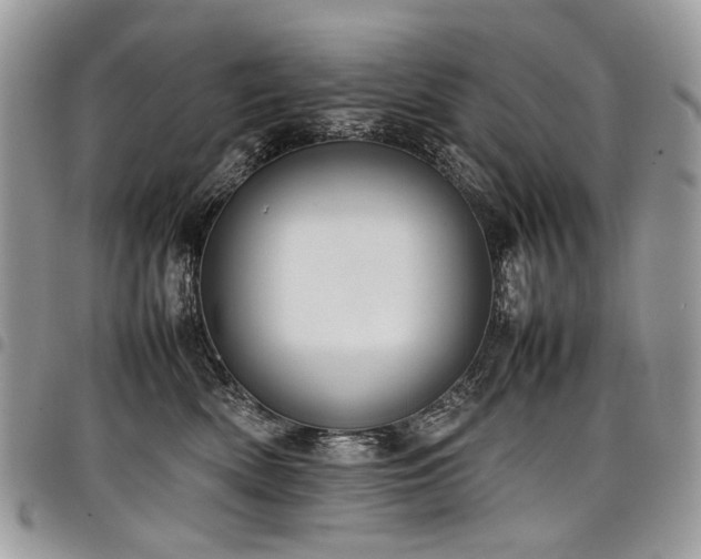 X0000098020522200803281337