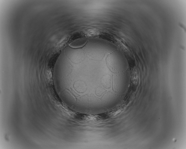 X0000098020523200803281337