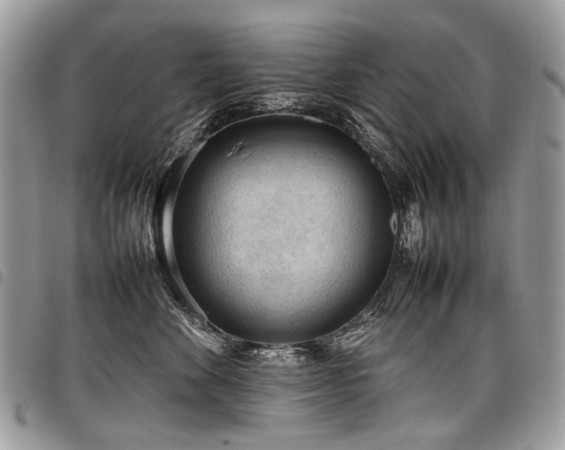 X0000098020524200803281337