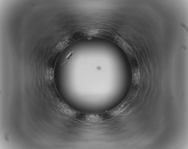 X0000098020525200803281337