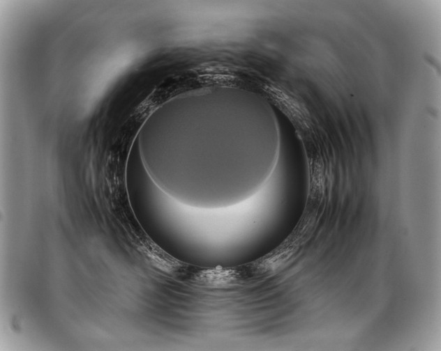 X0000098020526200803281337