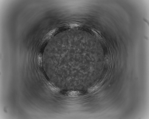 X0000098020527200803281337